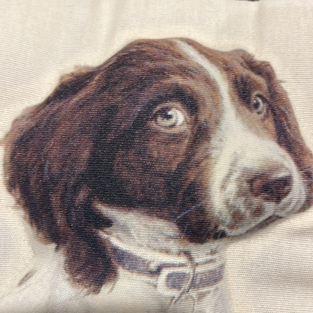 Killen - 2009 hunting 3-D dog pillow 13.5 x 13.5 - Picture 5 of 8